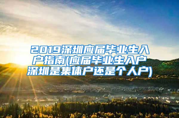 2019深圳应届毕业生入户指南(应届毕业生入户深圳是集体户还是个人户)