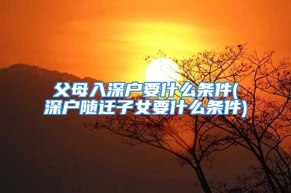 父母入深户要什么条件(深户随迁子女要什么条件)