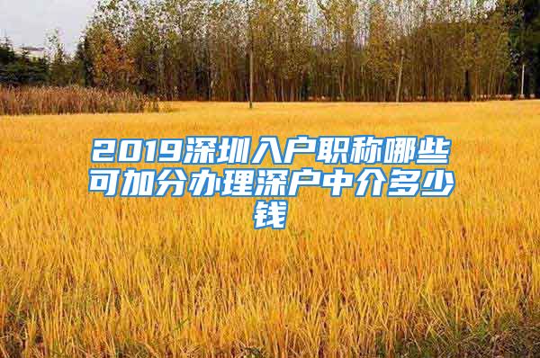 2019深圳入户职称哪些可加分办理深户中介多少钱