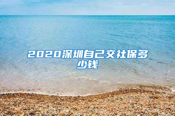 2020深圳自己交社保多少钱