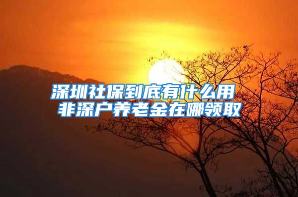 深圳社保到底有什么用 非深户养老金在哪领取