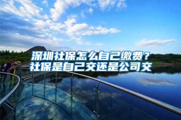 深圳社保怎么自己缴费？社保是自己交还是公司交