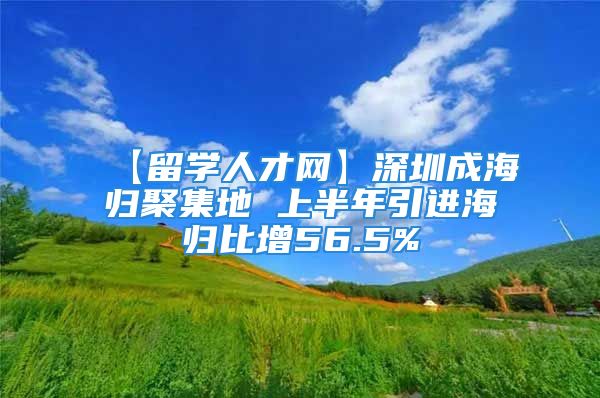 【留学人才网】深圳成海归聚集地 上半年引进海归比增56.5%