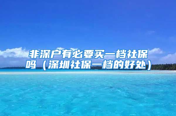 非深户有必要买一档社保吗（深圳社保一档的好处）