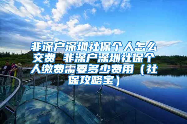 非深户深圳社保个人怎么交费 非深户深圳社保个人缴费需要多少费用（社保攻略宝）