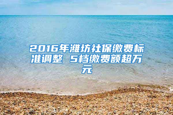 2016年潍坊社保缴费标准调整 5档缴费额超万元