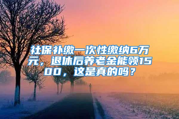 社保补缴一次性缴纳6万元，退休后养老金能领1500，这是真的吗？