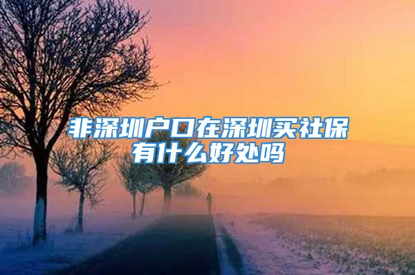 非深圳户口在深圳买社保有什么好处吗