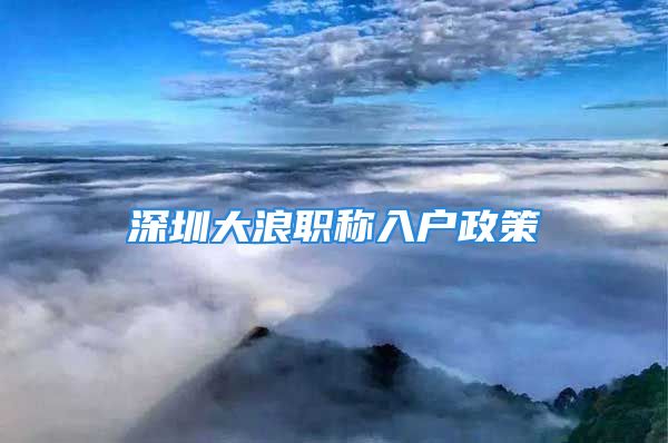 深圳大浪职称入户政策