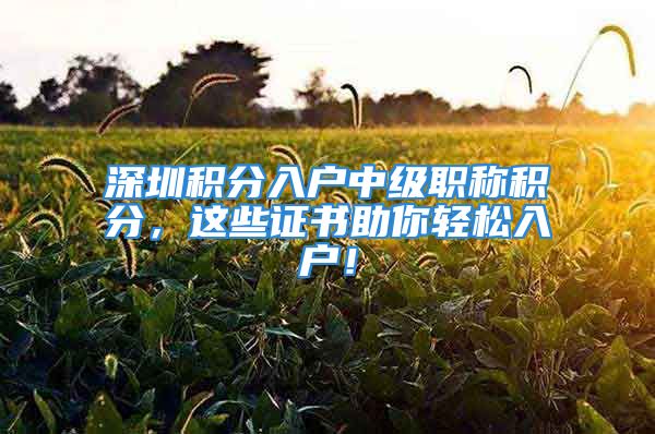 深圳积分入户中级职称积分，这些证书助你轻松入户！