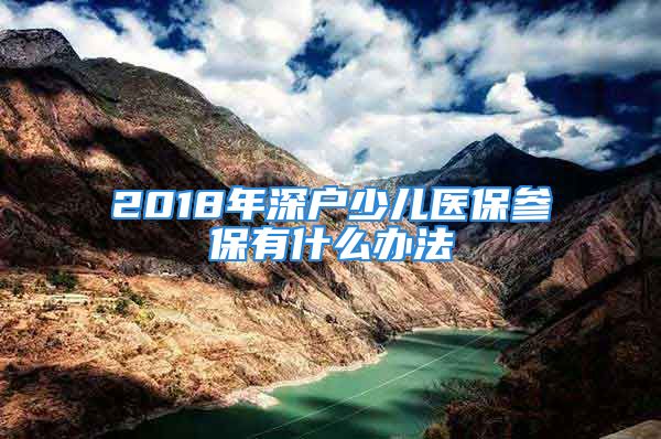 2018年深户少儿医保参保有什么办法