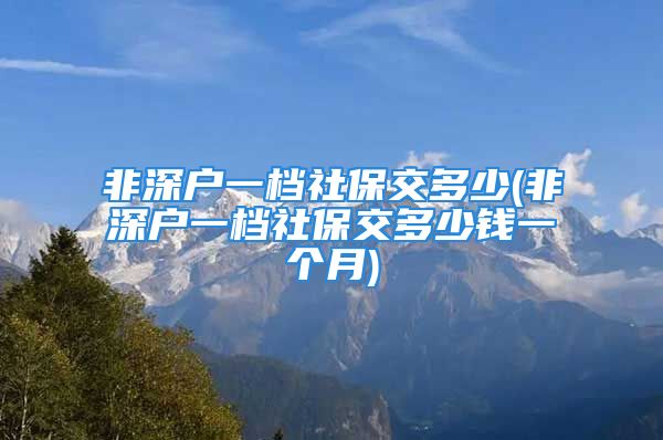 非深户一档社保交多少(非深户一档社保交多少钱一个月)