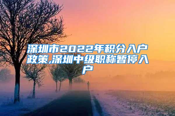 深圳市2022年积分入户政策,深圳中级职称暂停入户