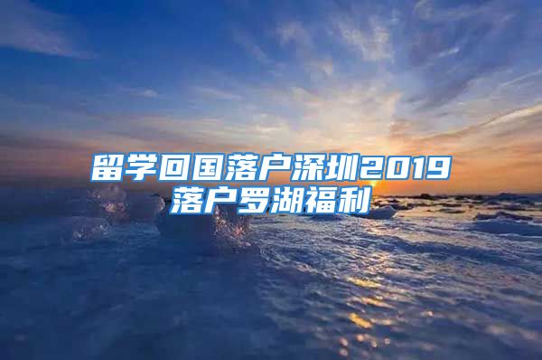 留学回国落户深圳2019落户罗湖福利