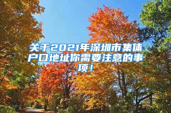 关于2021年深圳市集体户口地址你需要注意的事项！