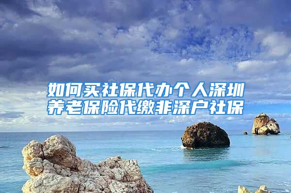 如何买社保代办个人深圳养老保险代缴非深户社保