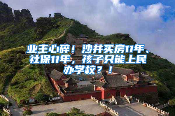 业主心碎！沙井买房11年、社保11年，孩子只能上民办学校？！