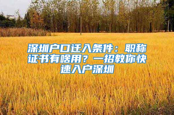 深圳户口迁入条件：职称证书有啥用？一招教你快速入户深圳