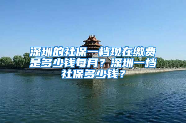 深圳的社保一档现在缴费是多少钱每月？深圳一档社保多少钱？