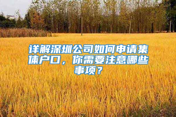 详解深圳公司如何申请集体户口，你需要注意哪些事项？