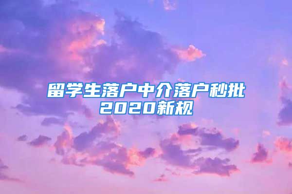 留学生落户中介落户秒批2020新规