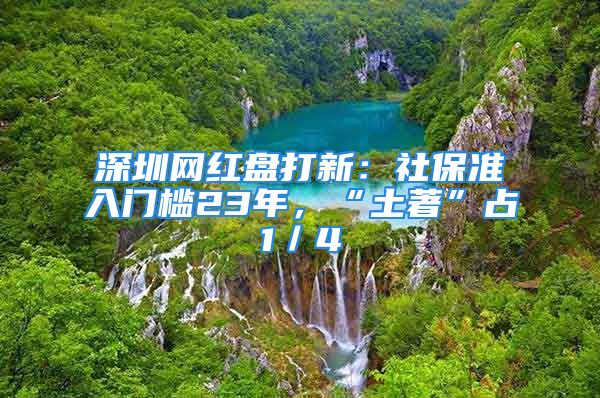 深圳网红盘打新：社保准入门槛23年，“土著”占1／4