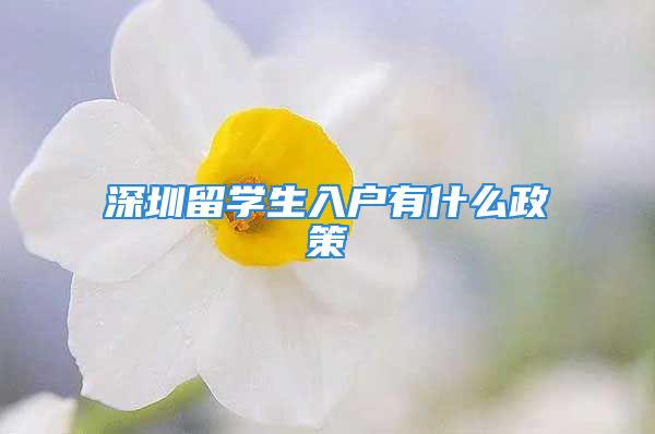 深圳留学生入户有什么政策