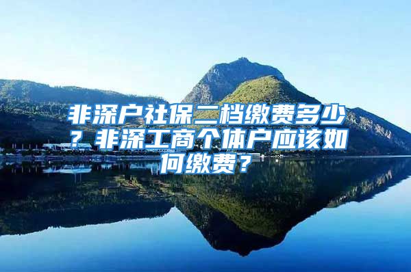 非深户社保二档缴费多少？非深工商个体户应该如何缴费？