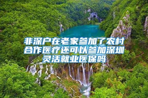 非深户在老家参加了农村合作医疗还可以参加深圳灵活就业医保吗