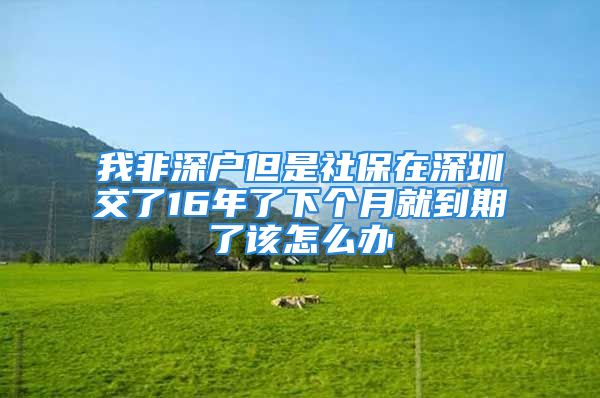 我非深户但是社保在深圳交了16年了下个月就到期了该怎么办