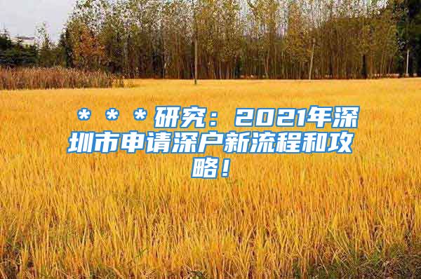 ＊＊＊研究：2021年深圳市申请深户新流程和攻略！