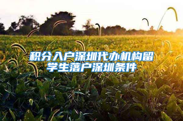 积分入户深圳代办机构留学生落户深圳条件