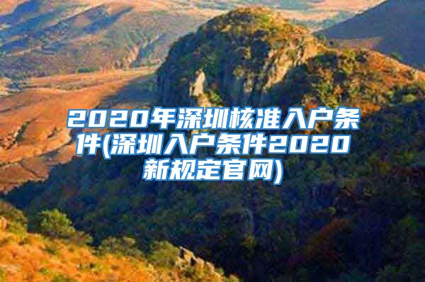 2020年深圳核准入户条件(深圳入户条件2020新规定官网)