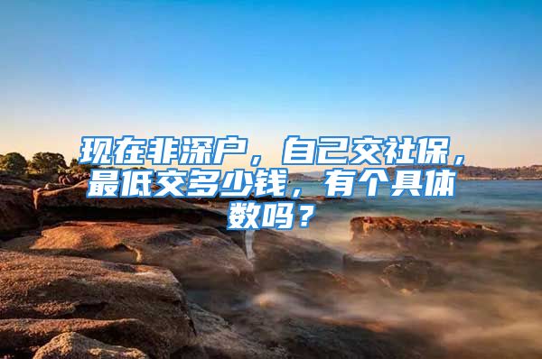 现在非深户，自己交社保，最低交多少钱，有个具体数吗？