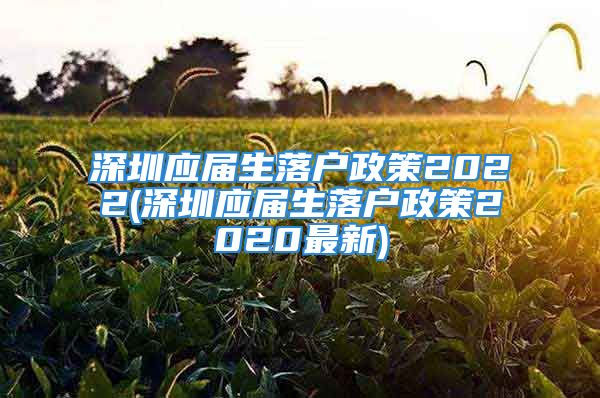 深圳应届生落户政策2022(深圳应届生落户政策2020最新)