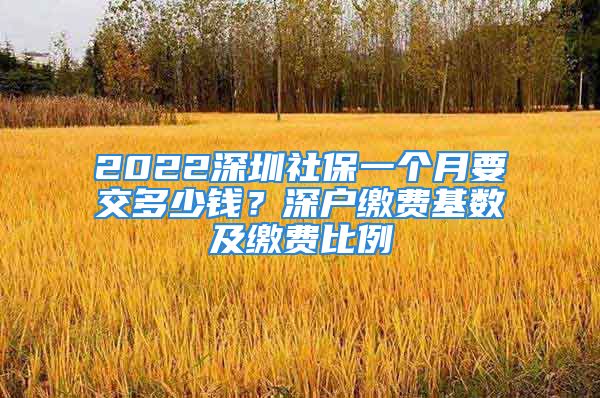 2022深圳社保一个月要交多少钱？深户缴费基数及缴费比例