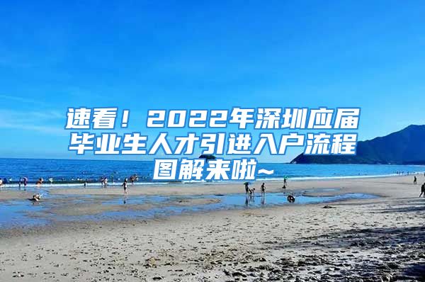 速看！2022年深圳应届毕业生人才引进入户流程图解来啦~