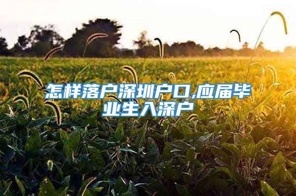 怎样落户深圳户口,应届毕业生入深户