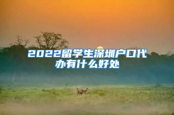 2022留学生深圳户口代办有什么好处