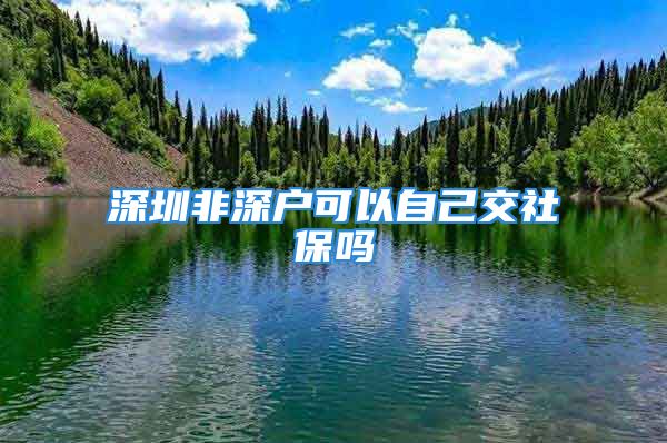 深圳非深户可以自己交社保吗