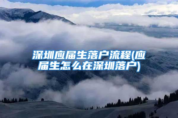 深圳应届生落户流程(应届生怎么在深圳落户)