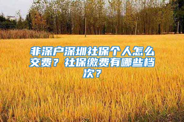 非深户深圳社保个人怎么交费？社保缴费有哪些档次？