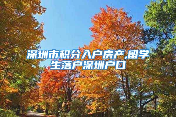 深圳市积分入户房产,留学生落户深圳户口