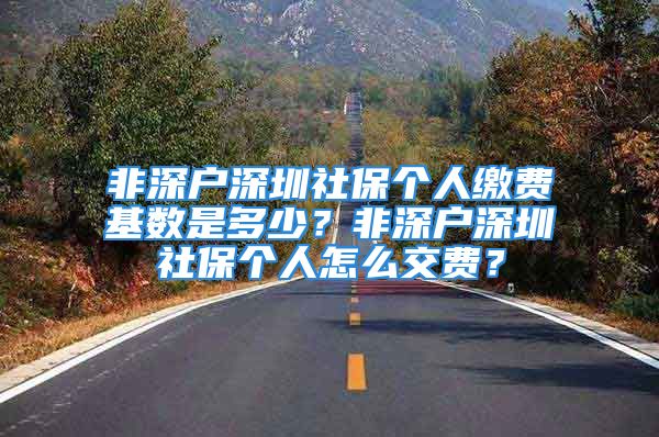 非深户深圳社保个人缴费基数是多少？非深户深圳社保个人怎么交费？