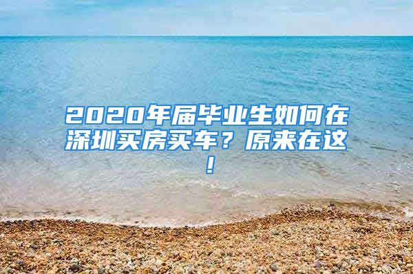 2020年届毕业生如何在深圳买房买车？原来在这！