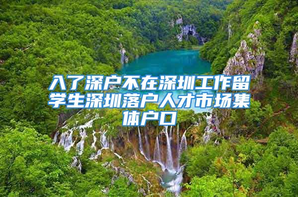 入了深户不在深圳工作留学生深圳落户人才市场集体户口