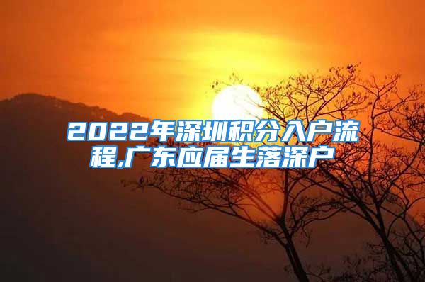 2022年深圳积分入户流程,广东应届生落深户