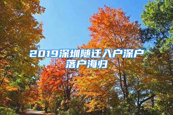 2019深圳随迁入户深户落户海归