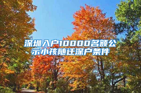 深圳入户10000名额公示小孩随迁深户条件