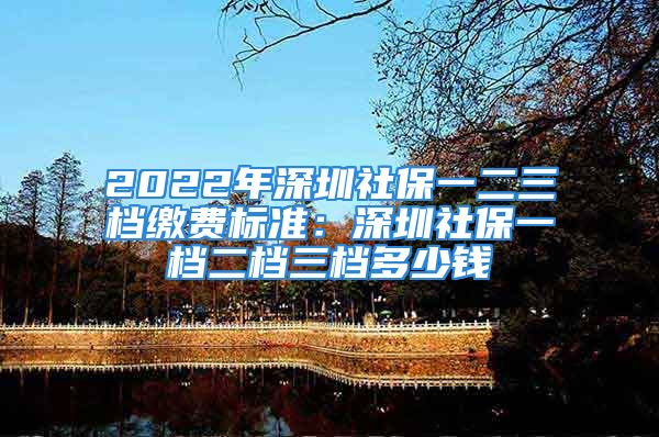 2022年深圳社保一二三档缴费标准：深圳社保一档二档三档多少钱